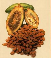 Cacao Beans, Cacao Butter, Cacao Liquor, Cacao Powder