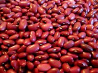 central american red bean