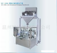 Grain Measuring and Packaging Production Line