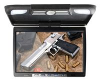 14.1 Inch TFT LCD Flipdown monitor