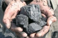 stam coal origin Russia