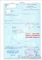 Egypt Embassy legalized certificate of origin(CO)
