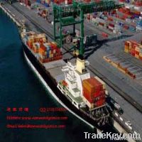 ocean freight forwarder service from Shenzhen to Damman