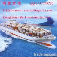 freight agents service from Shenzhen to Doha