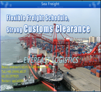 Sea freight for worldwide global all binds of project logistics