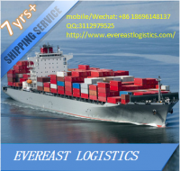 Rich experience international sea freight from guangzhou to philippine