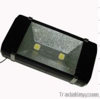 LED Tunnel Light