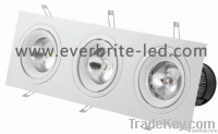 LED Down Light