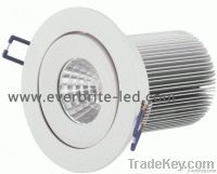 LED Down Light