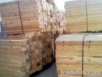 new un-treated  Railway wood Sleepers