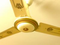 Ceiling fan