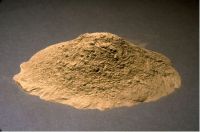 Fly Ash