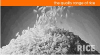 IRG Parboiled Rice