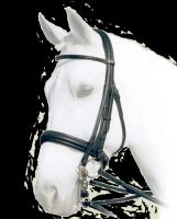 Bridle