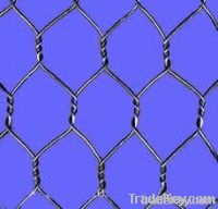 galvanized hexagonal wire mesh