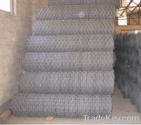 galvanized hexagonal wire mesh for sell