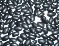 Organic black Jamapa beans