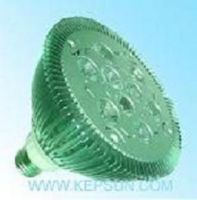 LED Par Light