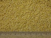 organic hulled millet