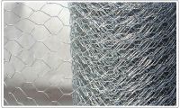 hexagonal wire netting