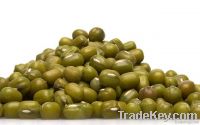 Green Mung Beans