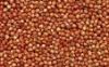 Sorghum red