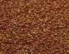 Sorghum red