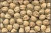 Kabuli chana beans
