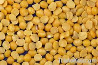 yellow split Pea yellow split peas yellow split peas australia yellow