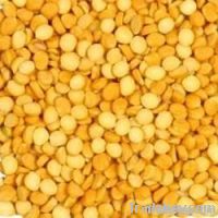 Channa dal Split Desi Chickpea  Bengal Gram Yellow Gram Gram Chana Poi