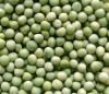 Green peas vegetables USD $400/MT