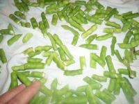 canned green cut beans