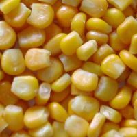 canned sweet corn kernel