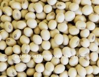 Australian organic soya beans