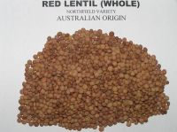 small red lentils
