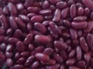 Purple Speckled Kidney Beans