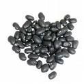 Black Kidney Beans Suppliers Kidney Beans Exporters Kidney Beans Traders Buy Kidney Beans Kidney Beans Price