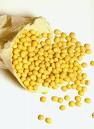 yellow soybean