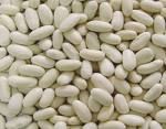 White Kidney Beans Crop