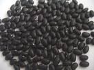 Black Mung Beans