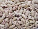 Light Speckled Kidney Beans