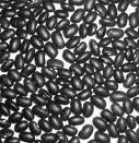 Black Kidney Beans