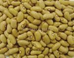 Yellow Kidney Beans