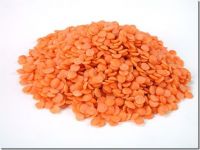 Red lentils