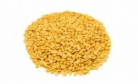 Yellow Lentil kernel
