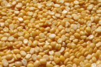 import yellow lentils,yellow lentils suppliers,yellow lentils exporters,yellow lentils manufacturers,yellow lentils traders,