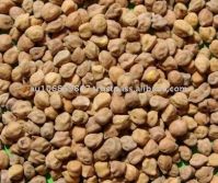 DESI CHICKPEAS