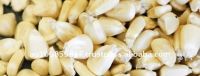 Australian organic maize grain(white)