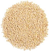 Millet French White
