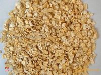 organic oats kernel